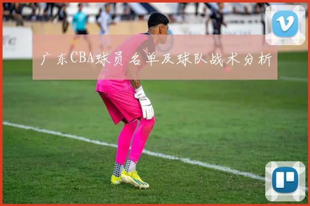 广东CBA球员名单及球队战术分析