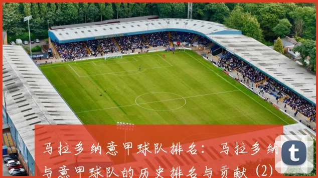 马拉多纳意甲球队排名：马拉多纳与意甲球队的历史排名与贡献 (2)