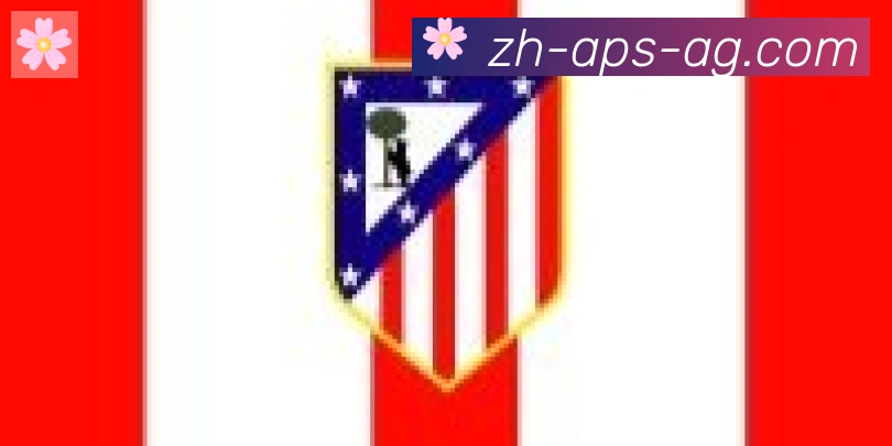 AG娱乐登录合作伙伴